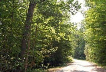 St. Clair Camping Resort Marysville Dış mekan fotoğraf